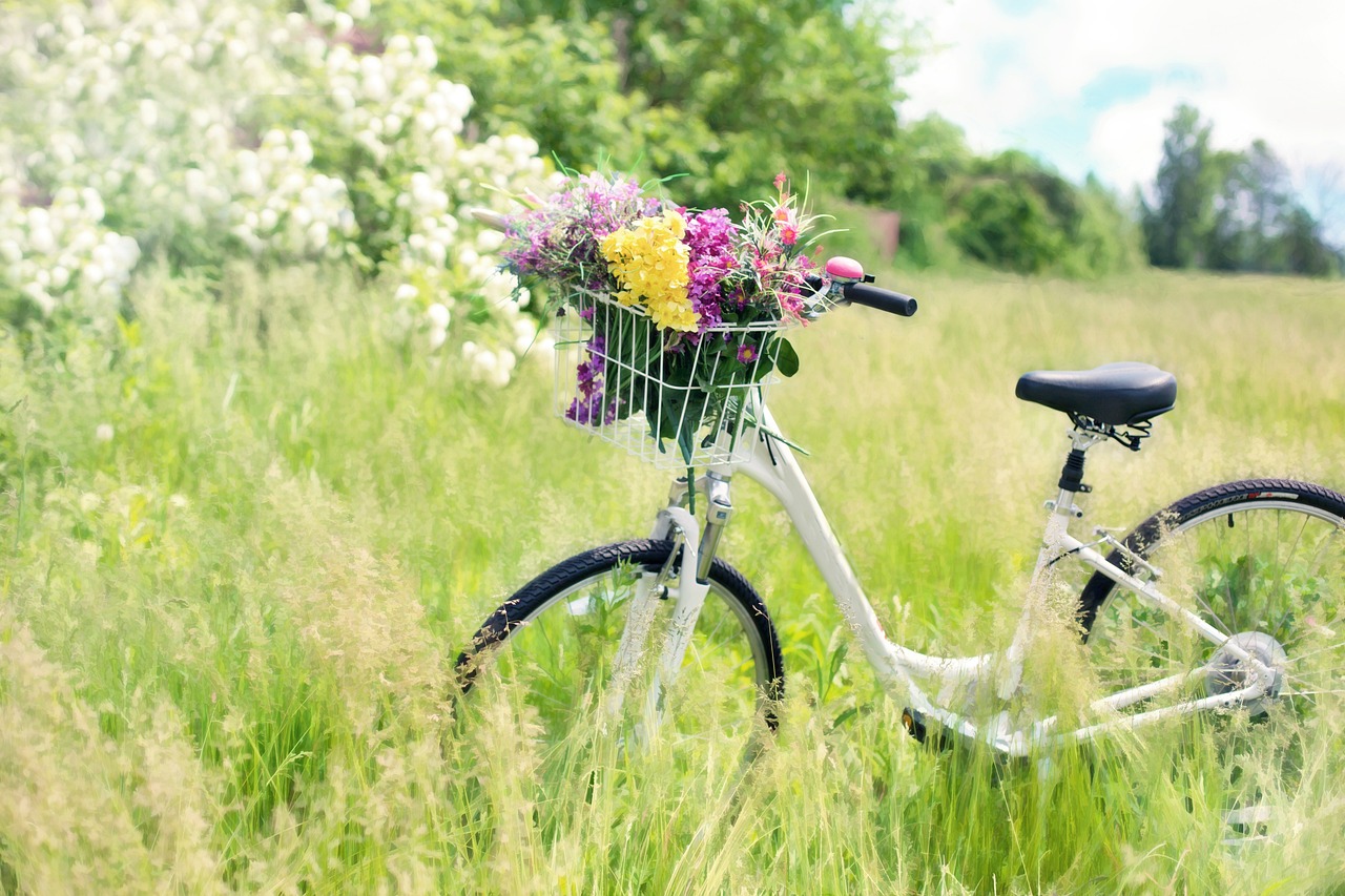 Fahrräder und E-Bikes für schwere Menschen